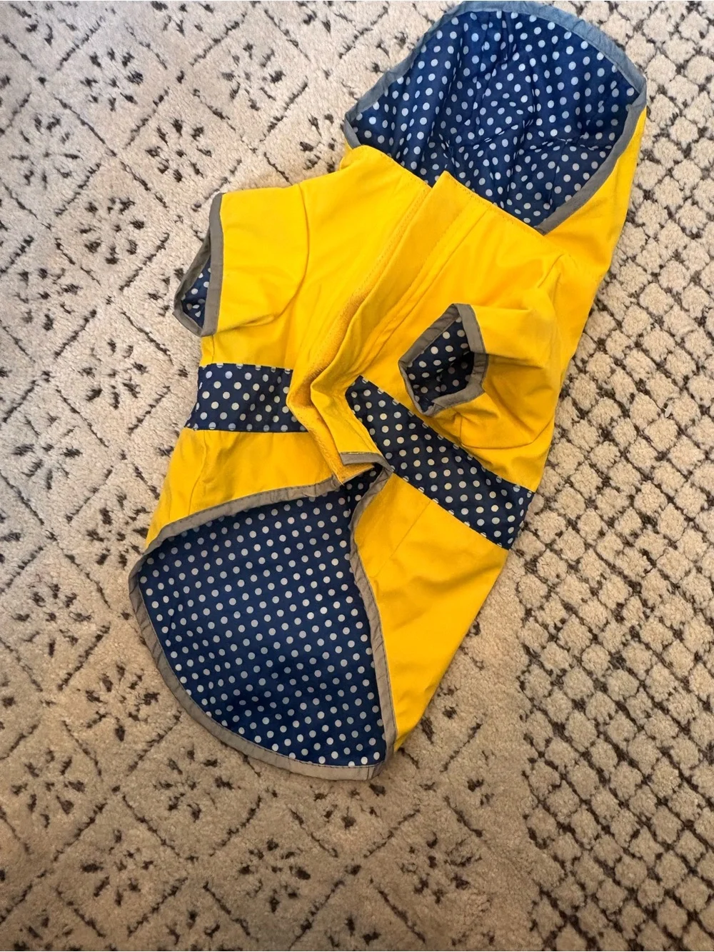 Yellow Dog Raincoat with Polka Dot Trim